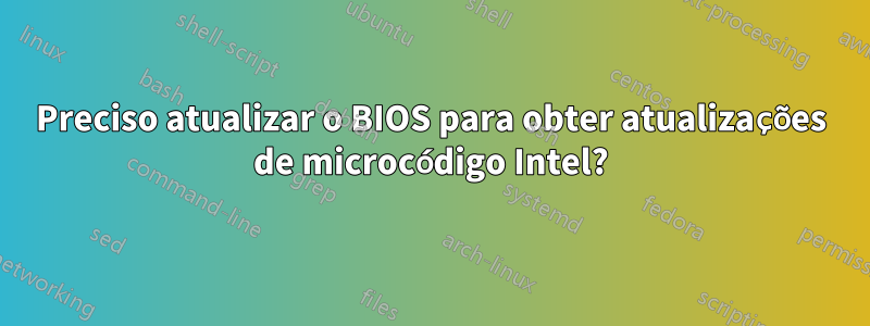 Preciso atualizar o BIOS para obter atualizações de microcódigo Intel?