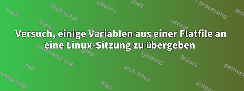 Versuch, einige Variablen aus einer Flatfile an eine Linux-Sitzung zu übergeben 