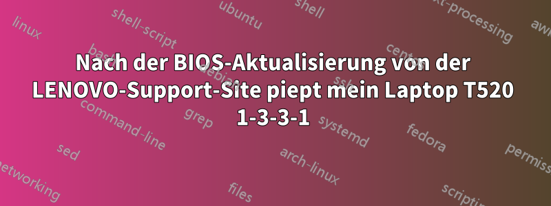 Nach der BIOS-Aktualisierung von der LENOVO-Support-Site piept mein Laptop T520 1-3-3-1