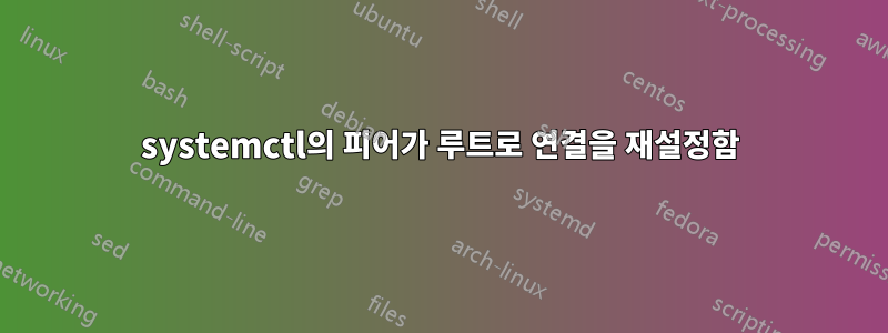 systemctl의 피어가 루트로 연결을 재설정함