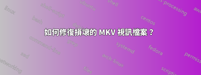 如何修復損壞的 MKV 視訊檔案？