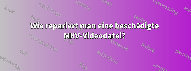 Wie repariert man eine beschädigte MKV-Videodatei?