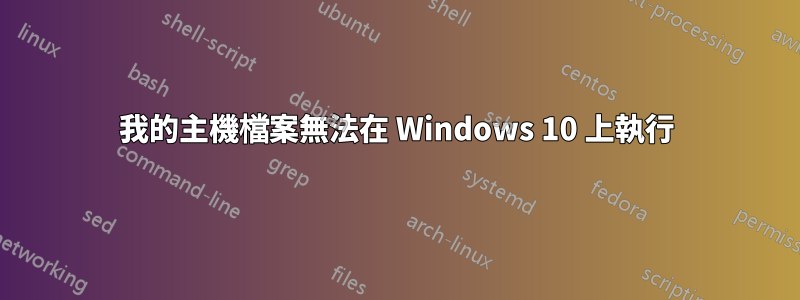 我的主機檔案無法在 Windows 10 上執行