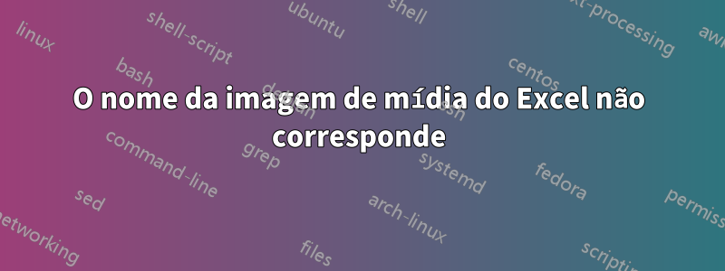 O nome da imagem de mídia do Excel não corresponde