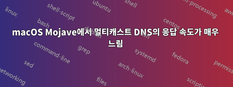 macOS Mojave에서 멀티캐스트 DNS의 응답 속도가 매우 느림