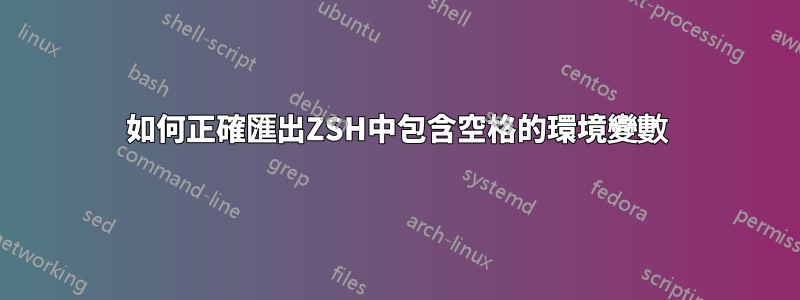 如何正確匯出ZSH中包含空格的環境變數