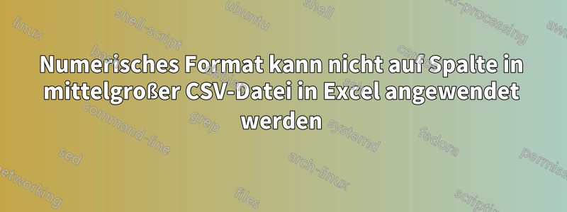 Numerisches Format kann nicht auf Spalte in mittelgroßer CSV-Datei in Excel angewendet werden