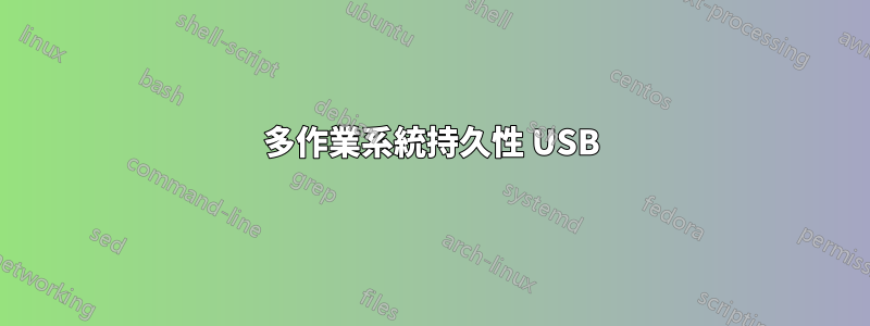 多作業系統持久性 USB