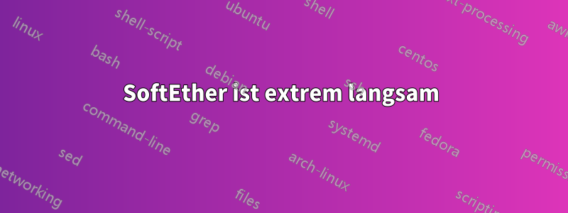 SoftEther ist extrem langsam