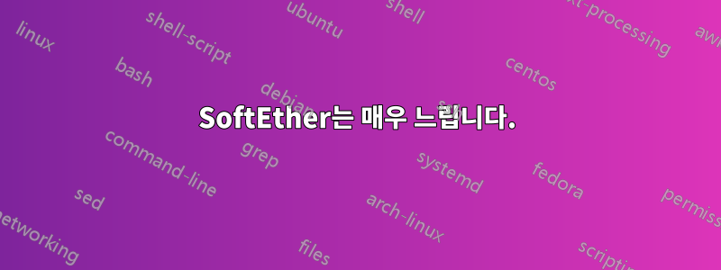 SoftEther는 매우 느립니다.