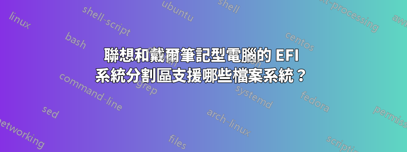 聯想和戴爾筆記型電腦的 EFI 系統分割區支援哪些檔案系統？