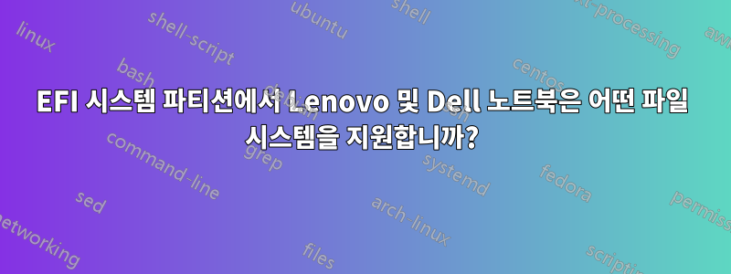 EFI 시스템 파티션에서 Lenovo 및 Dell 노트북은 어떤 파일 시스템을 지원합니까?