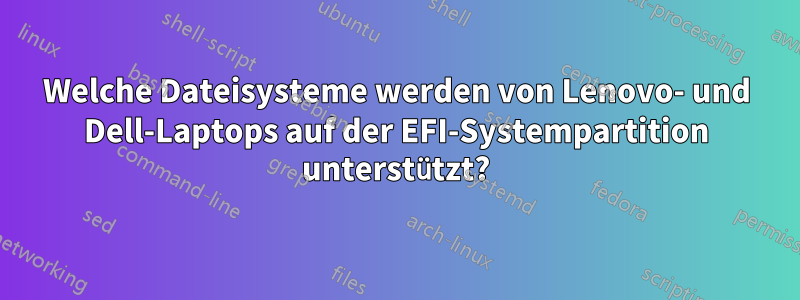 Welche Dateisysteme werden von Lenovo- und Dell-Laptops auf der EFI-Systempartition unterstützt?