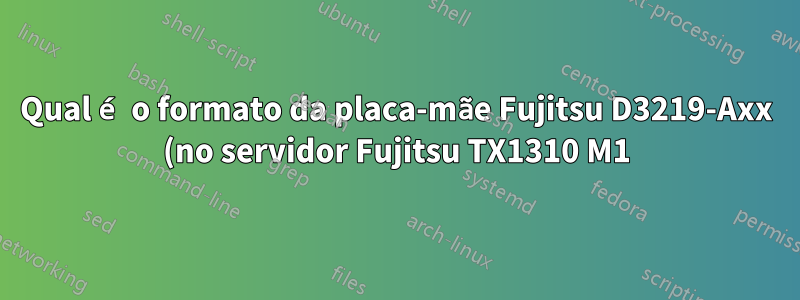 Qual é o formato da placa-mãe Fujitsu D3219-Axx (no servidor Fujitsu TX1310 M1)