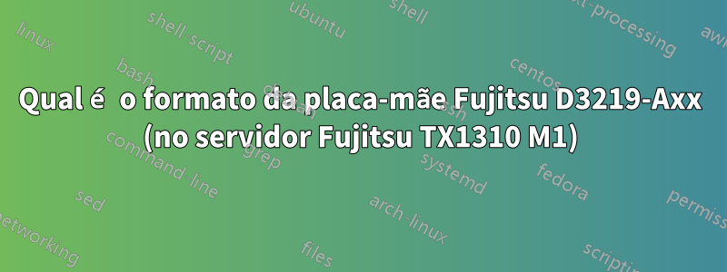 Qual é o formato da placa-mãe Fujitsu D3219-Axx (no servidor Fujitsu TX1310 M1)