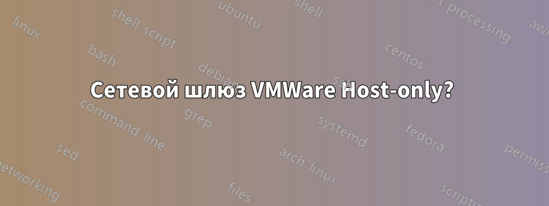 Сетевой шлюз VMWare Host-only?