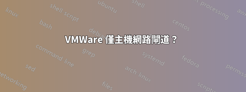 VMWare 僅主機網路閘道？