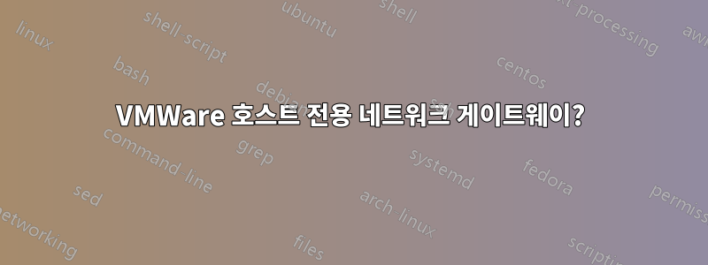 VMWare 호스트 전용 네트워크 게이트웨이?