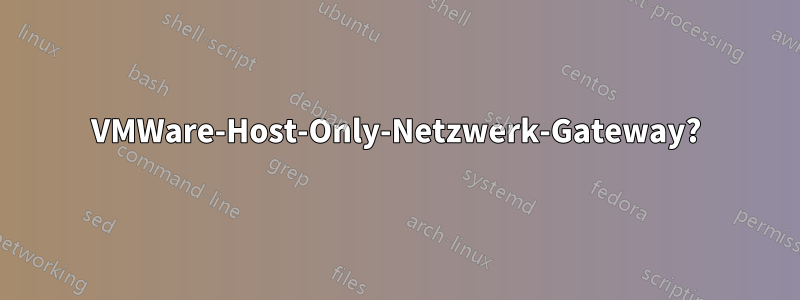 VMWare-Host-Only-Netzwerk-Gateway?