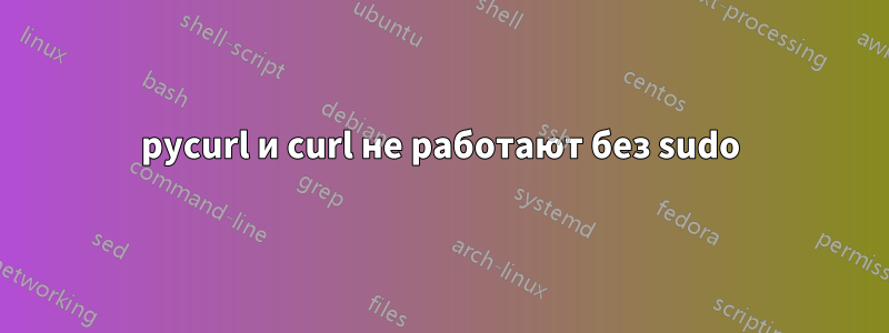 pycurl и curl не работают без sudo