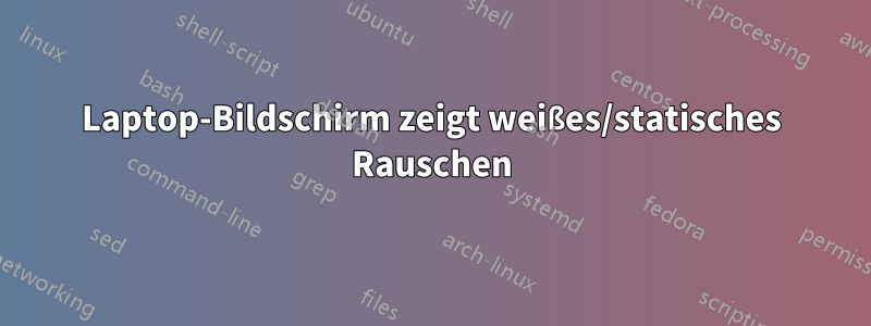 Laptop-Bildschirm zeigt weißes/statisches Rauschen