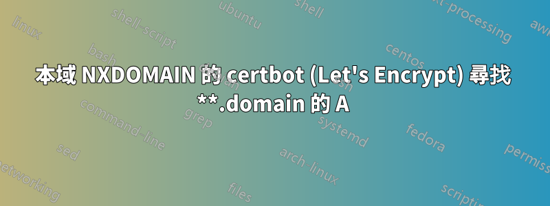 本域 NXDOMAIN 的 certbot (Let's Encrypt) 尋找 **.domain 的 A