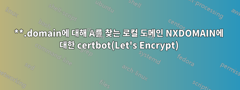 **.domain에 대해 A를 찾는 로컬 도메인 NXDOMAIN에 대한 certbot(Let's Encrypt)