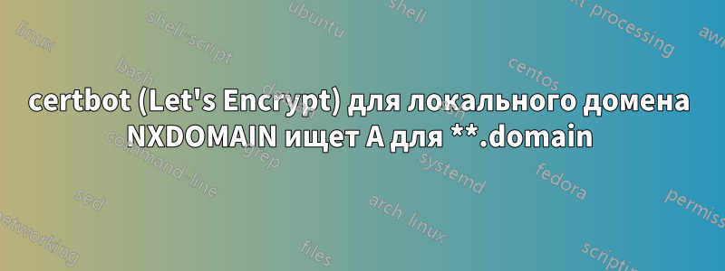 certbot (Let's Encrypt) для локального домена NXDOMAIN ищет A для **.domain