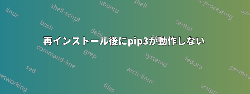 再インストール後にpip3が動作しない