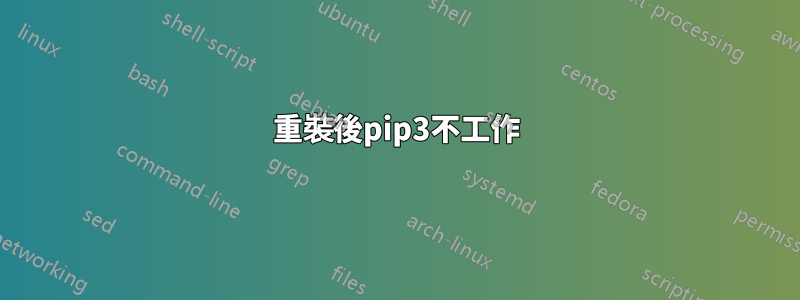 重裝後pip3不工作