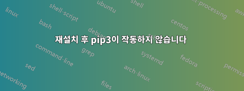 재설치 후 pip3이 작동하지 않습니다