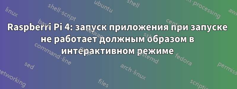 Raspberri Pi 4: запуск приложения при запуске не работает должным образом в интерактивном режиме