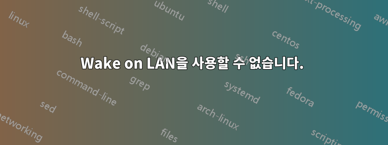 Wake on LAN을 사용할 수 없습니다.