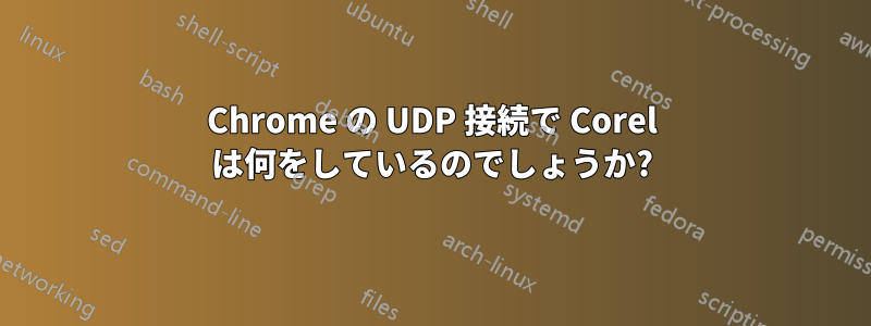 Chrome の UDP 接続で Corel は何をしているのでしょうか?