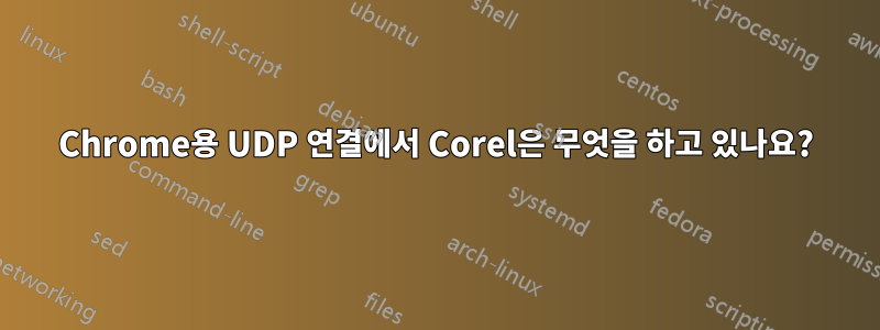 Chrome용 UDP 연결에서 Corel은 무엇을 하고 있나요?