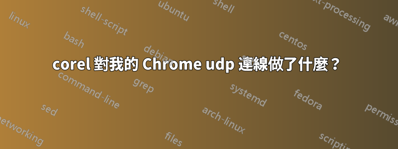 corel 對我的 Chrome udp 連線做了什麼？