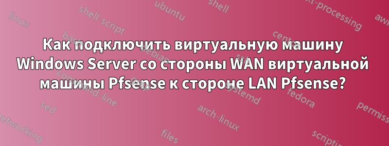 Как подключить виртуальную машину Windows Server со стороны WAN виртуальной машины Pfsense к стороне LAN Pfsense?