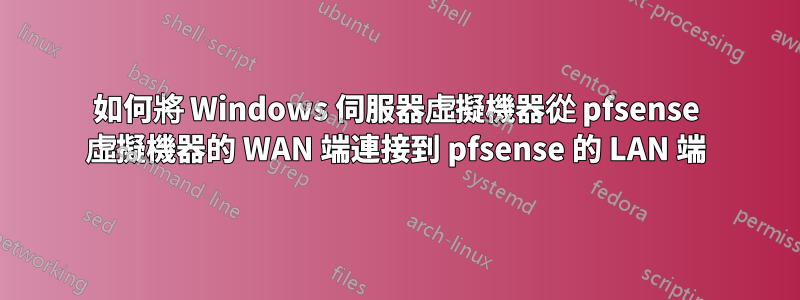 如何將 Windows 伺服器虛擬機器從 pfsense 虛擬機器的 WAN 端連接到 pfsense 的 LAN 端