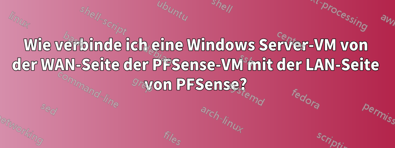 Wie verbinde ich eine Windows Server-VM von der WAN-Seite der PFSense-VM mit der LAN-Seite von PFSense?