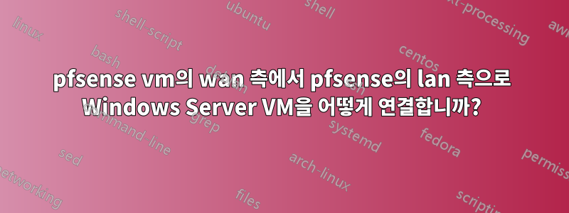 pfsense vm의 wan 측에서 pfsense의 lan 측으로 Windows Server VM을 어떻게 연결합니까?