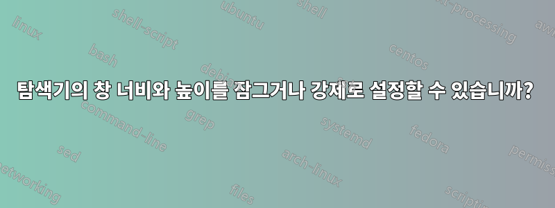 탐색기의 창 너비와 높이를 잠그거나 강제로 설정할 수 있습니까?