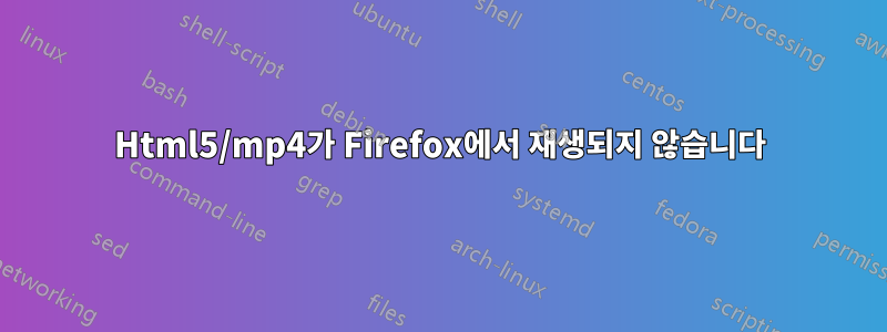 Html5/mp4가 Firefox에서 재생되지 않습니다