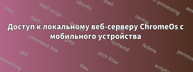 Доступ к локальному веб-серверу ChromeOs с мобильного устройства