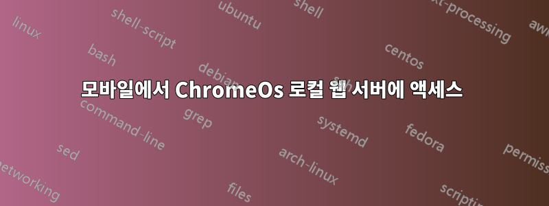 모바일에서 ChromeOs 로컬 웹 서버에 액세스