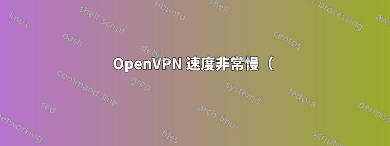 OpenVPN 速度非常慢（