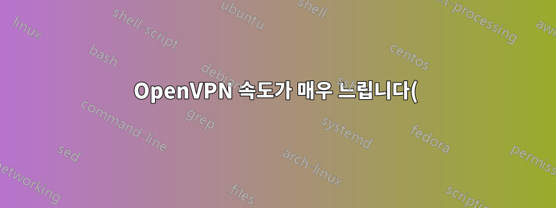 OpenVPN 속도가 매우 느립니다(