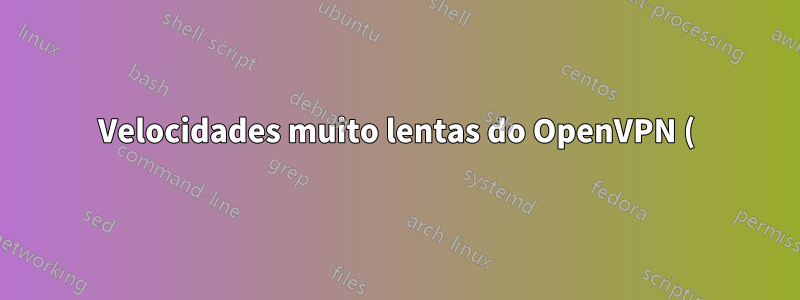 Velocidades muito lentas do OpenVPN (