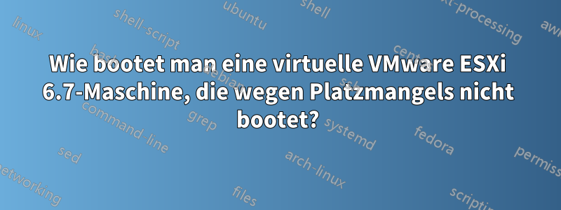 Wie bootet man eine virtuelle VMware ESXi 6.7-Maschine, die wegen Platzmangels nicht bootet?