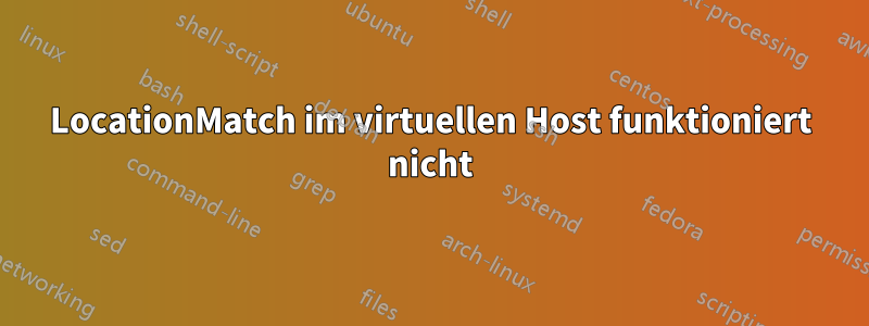 LocationMatch im virtuellen Host funktioniert nicht