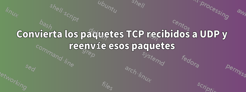 Convierta los paquetes TCP recibidos a UDP y reenvíe esos paquetes